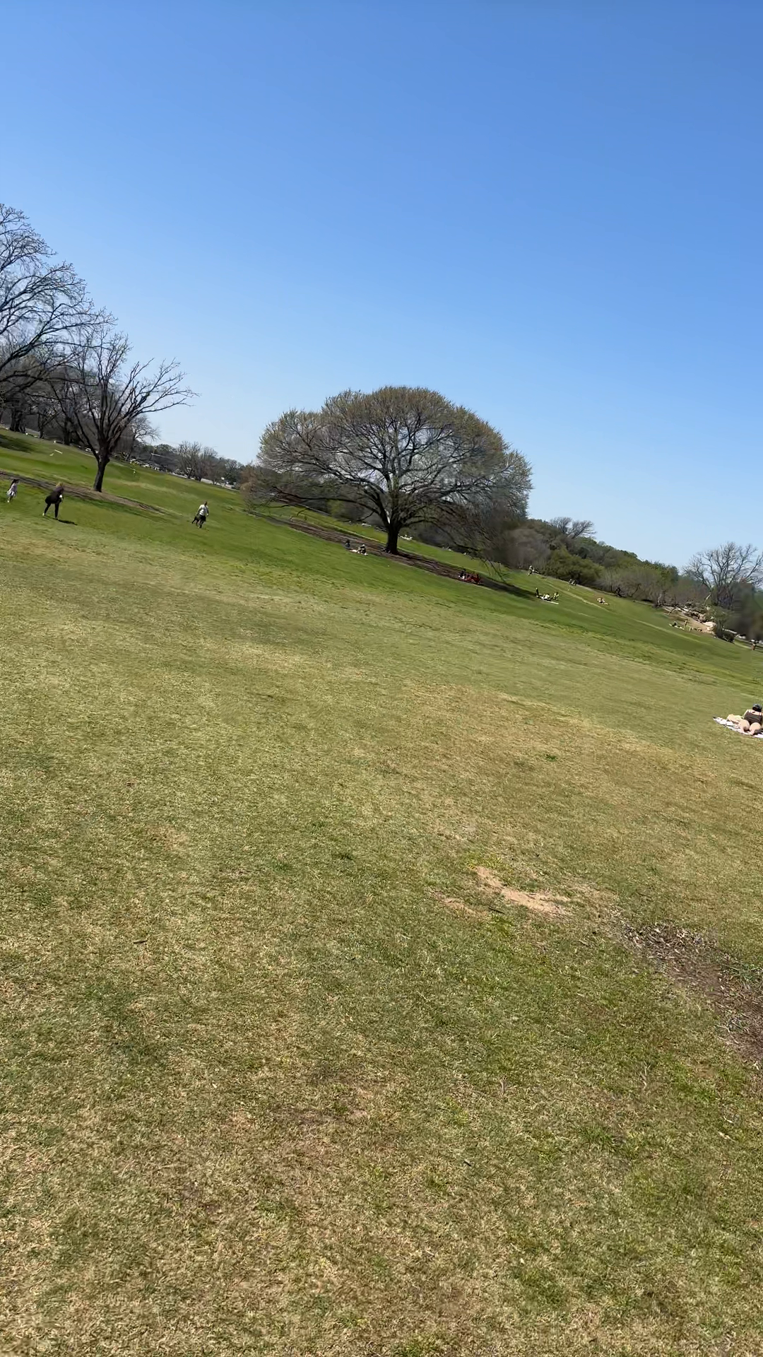 Zilker Park Update