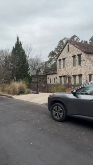 Travis Heights Insights