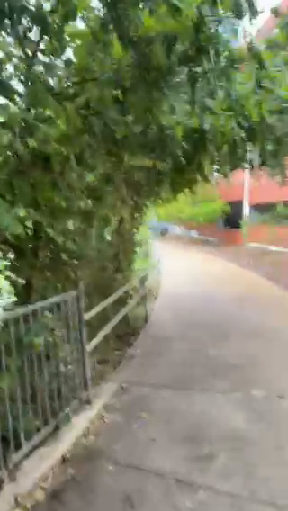 Austin's Serene Paths