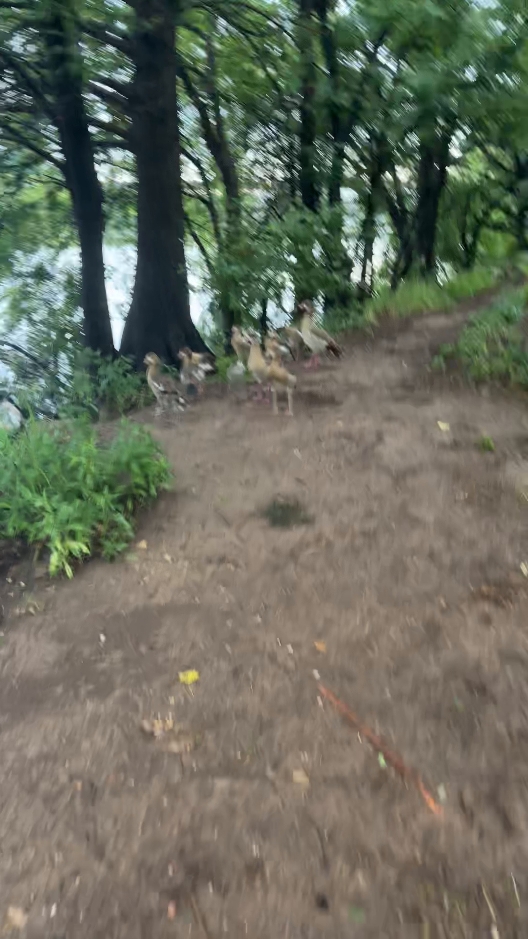 Austin's Quiet Retreat