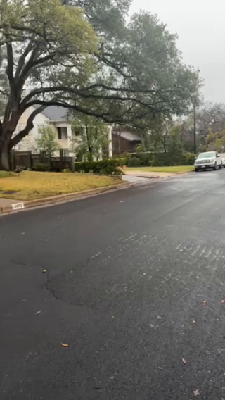 Neighborhood Inspection