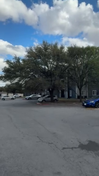 Austin Rental Insight