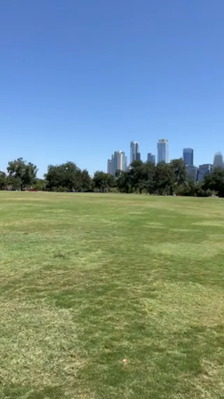 Zilker Park Vibes