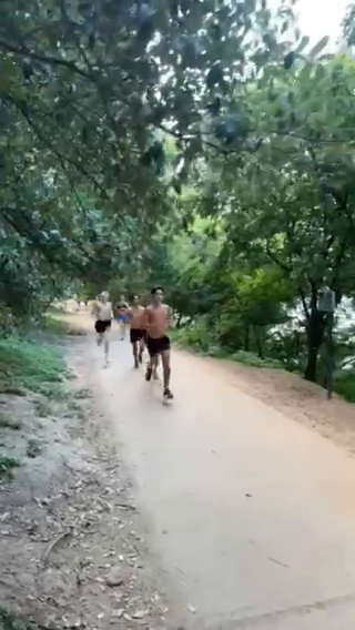 Trail Traffic