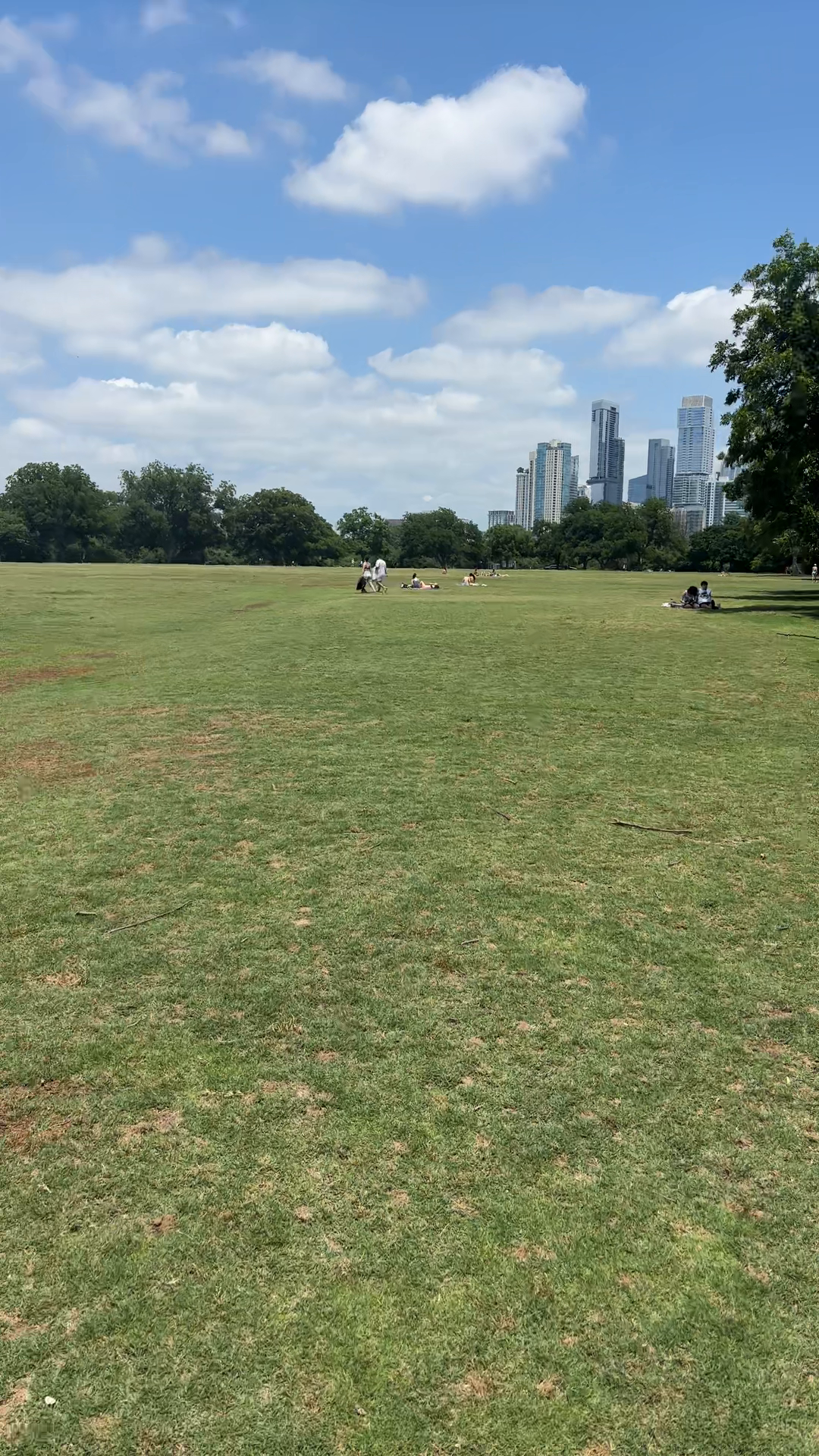 Zilker Park Update
