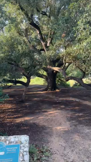 Serene Morning Retreat