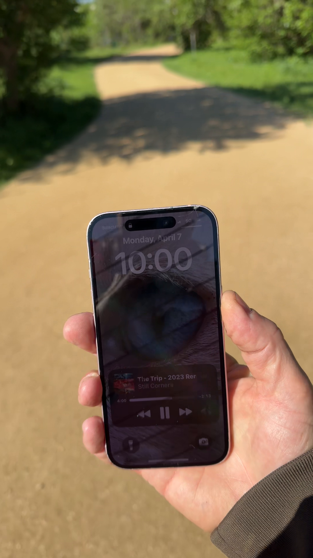 Trail Conditions Clear