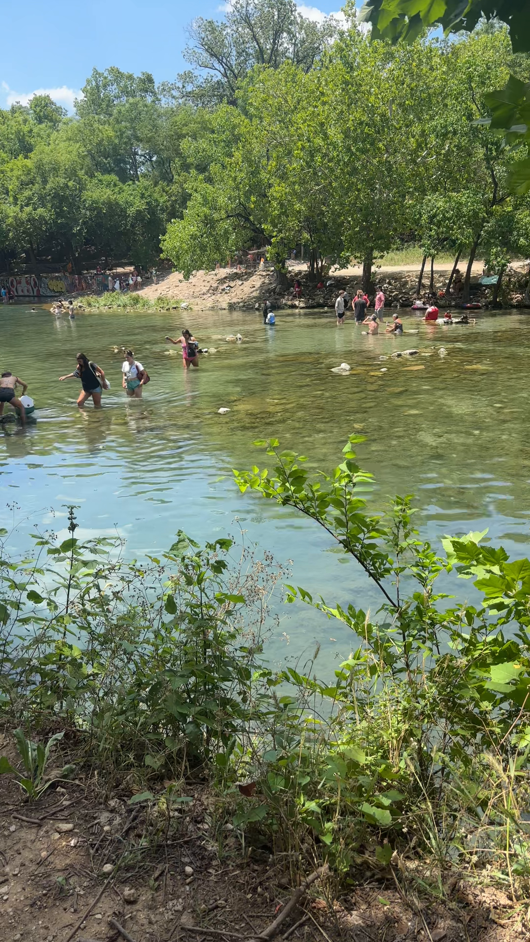 Barton Springs — Community video by a Cityvibe spotter