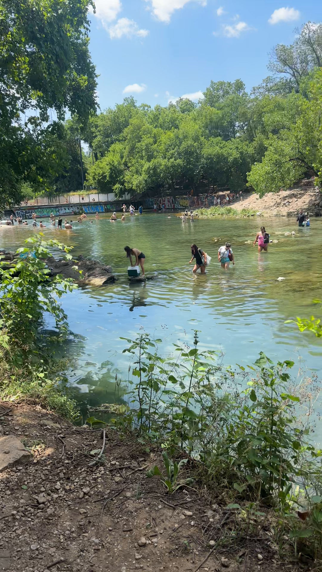 Barton Springs Bustling