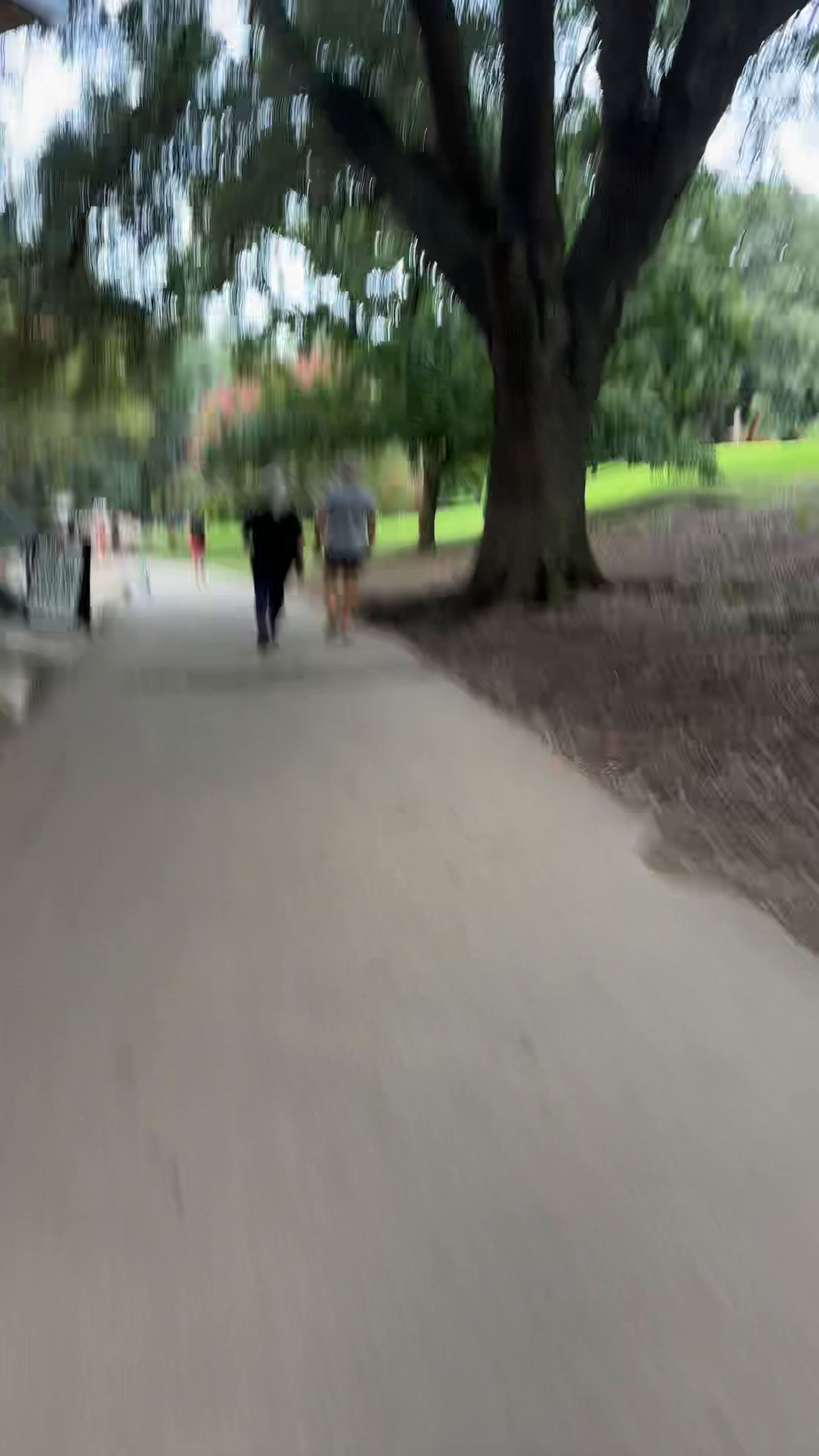 Shoal Creek Activity