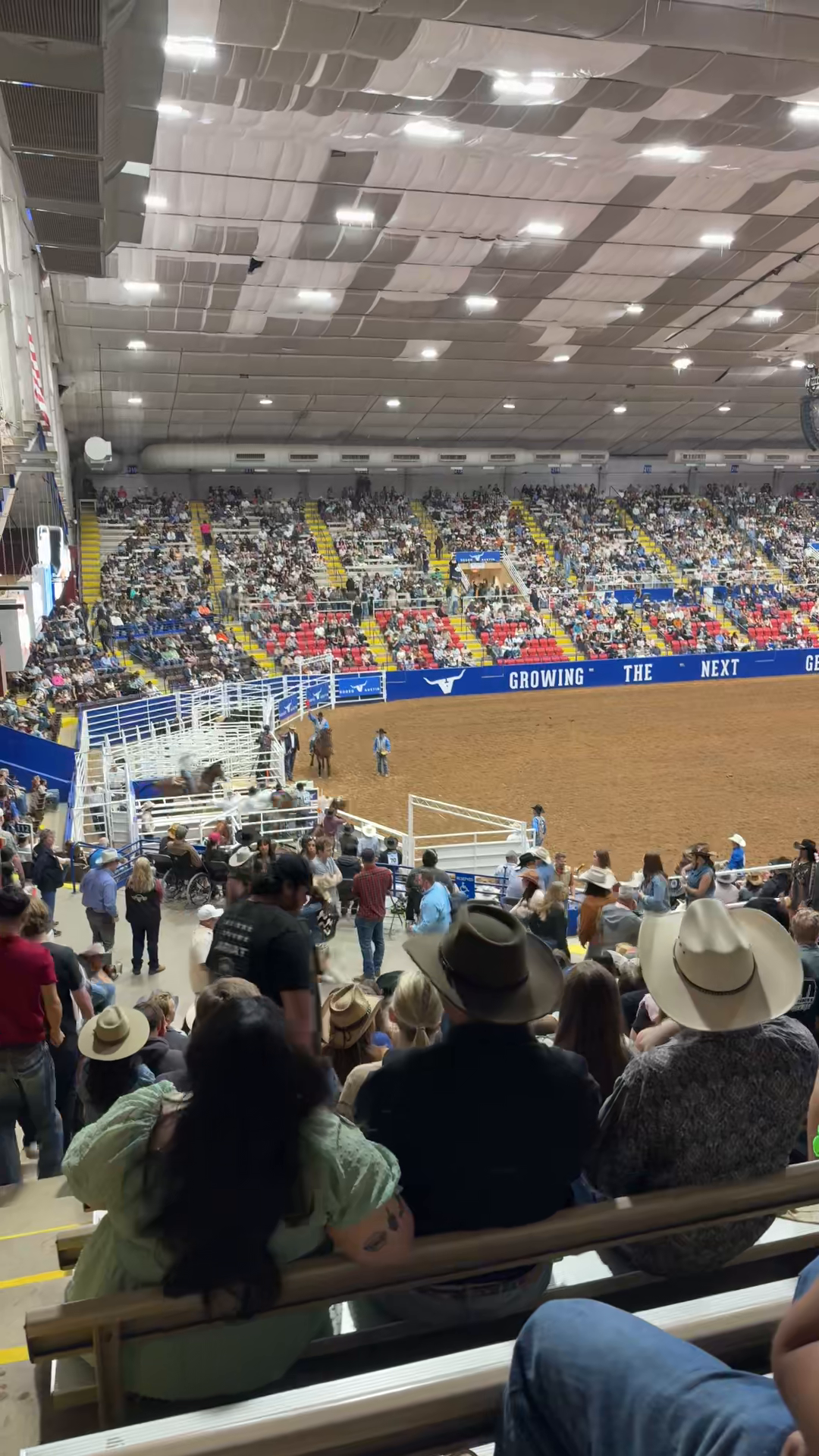 Austin Rodeo Night