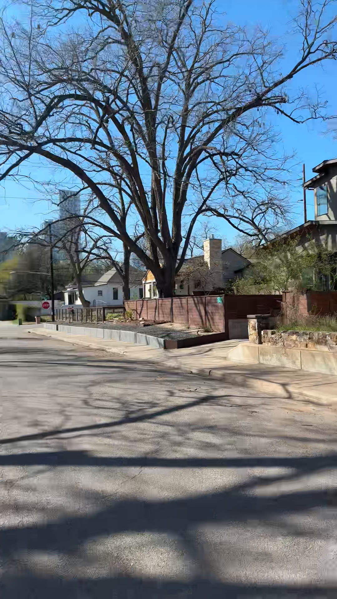 Austin's Garden Street