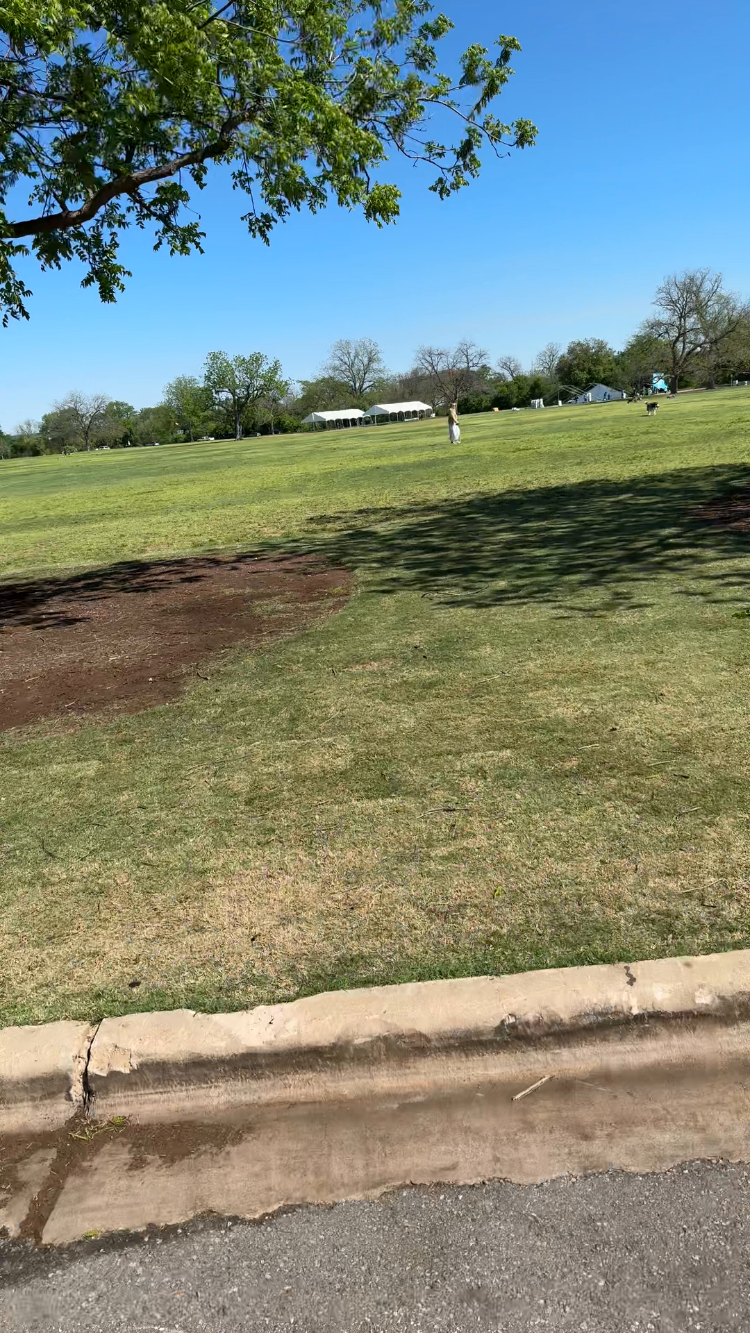 Zilker Park Conditions
