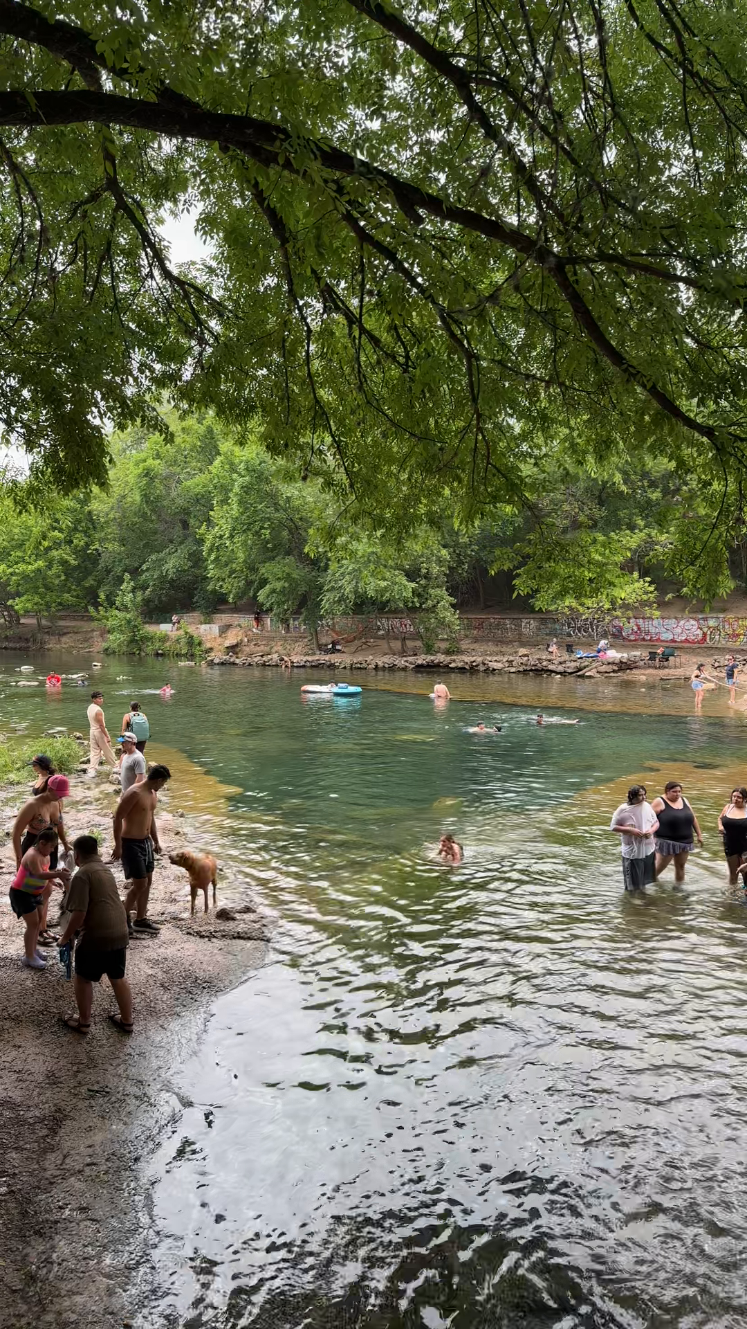 Barton Springs Gathering