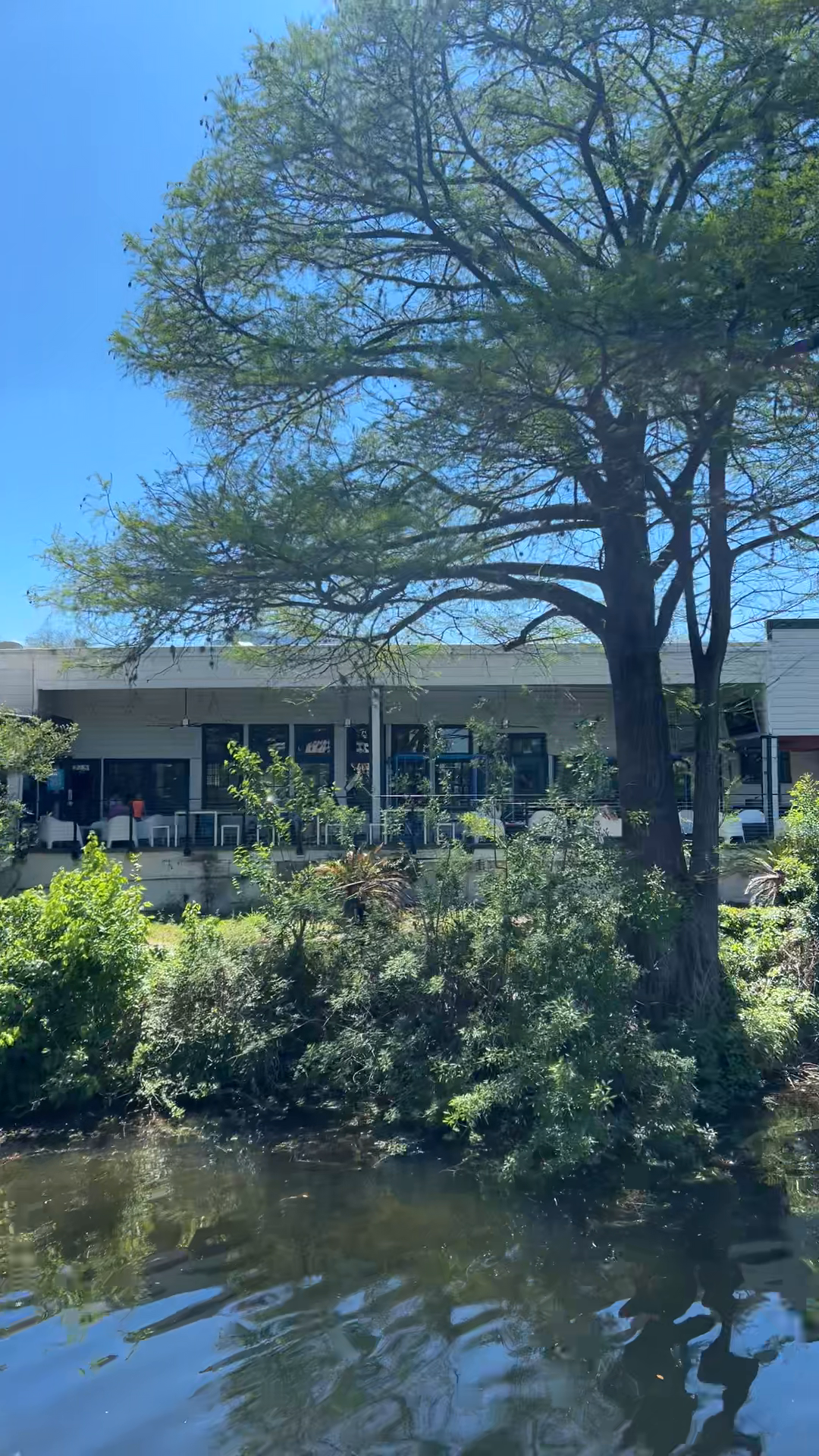 City Waterfront View