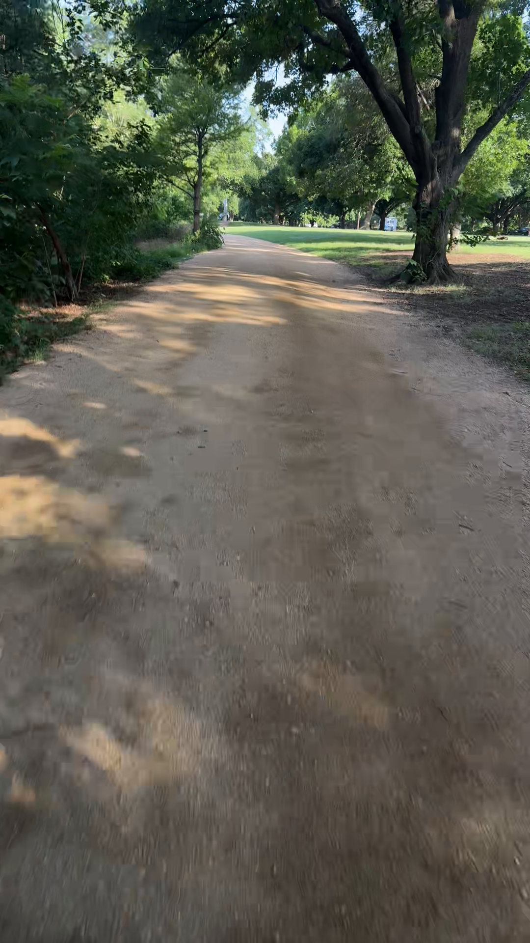 Peaceful Morning Run