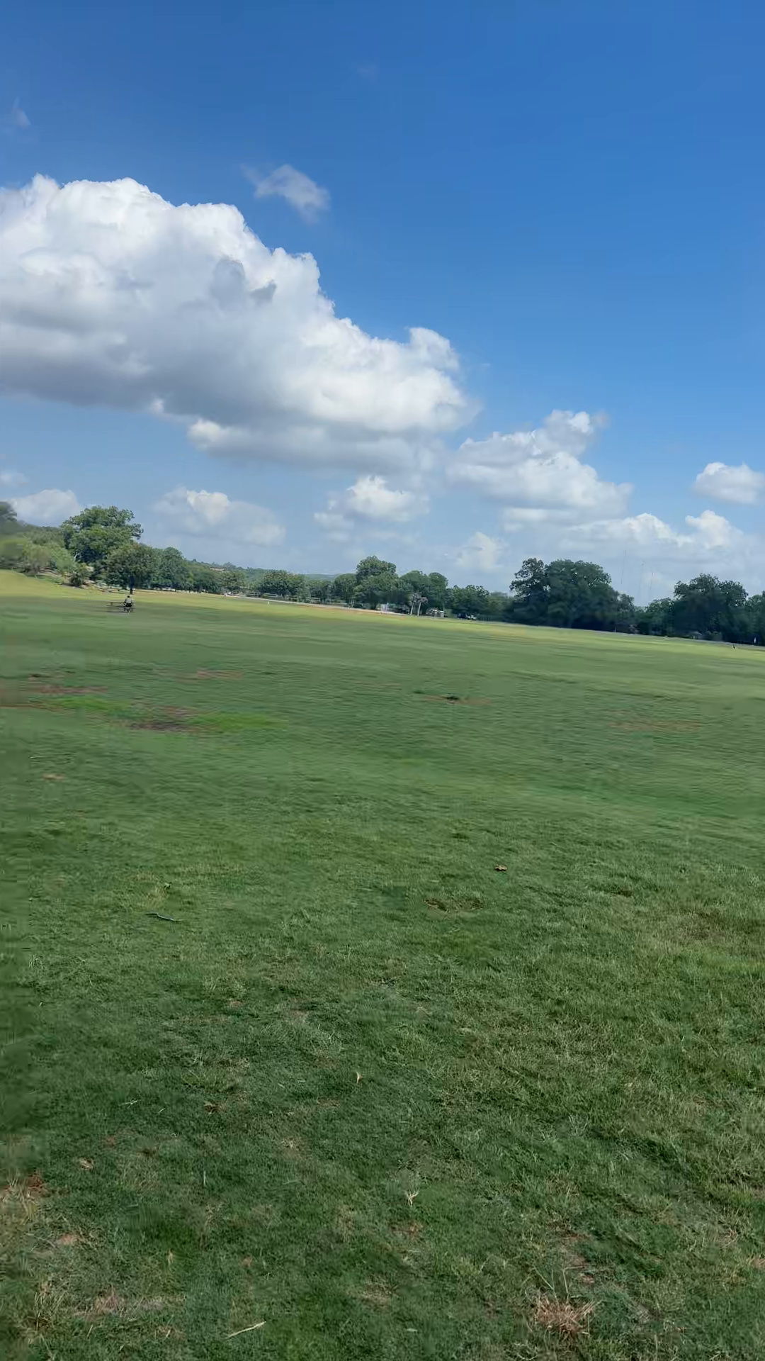 Zilker Park Update