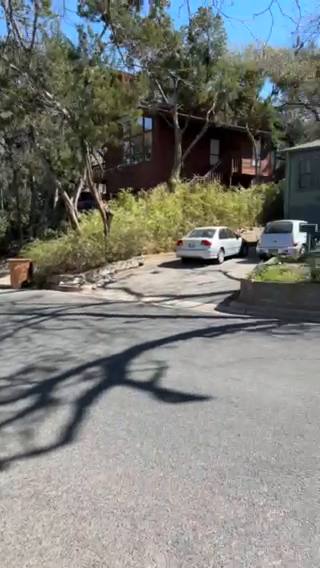 Travis Heights Insight