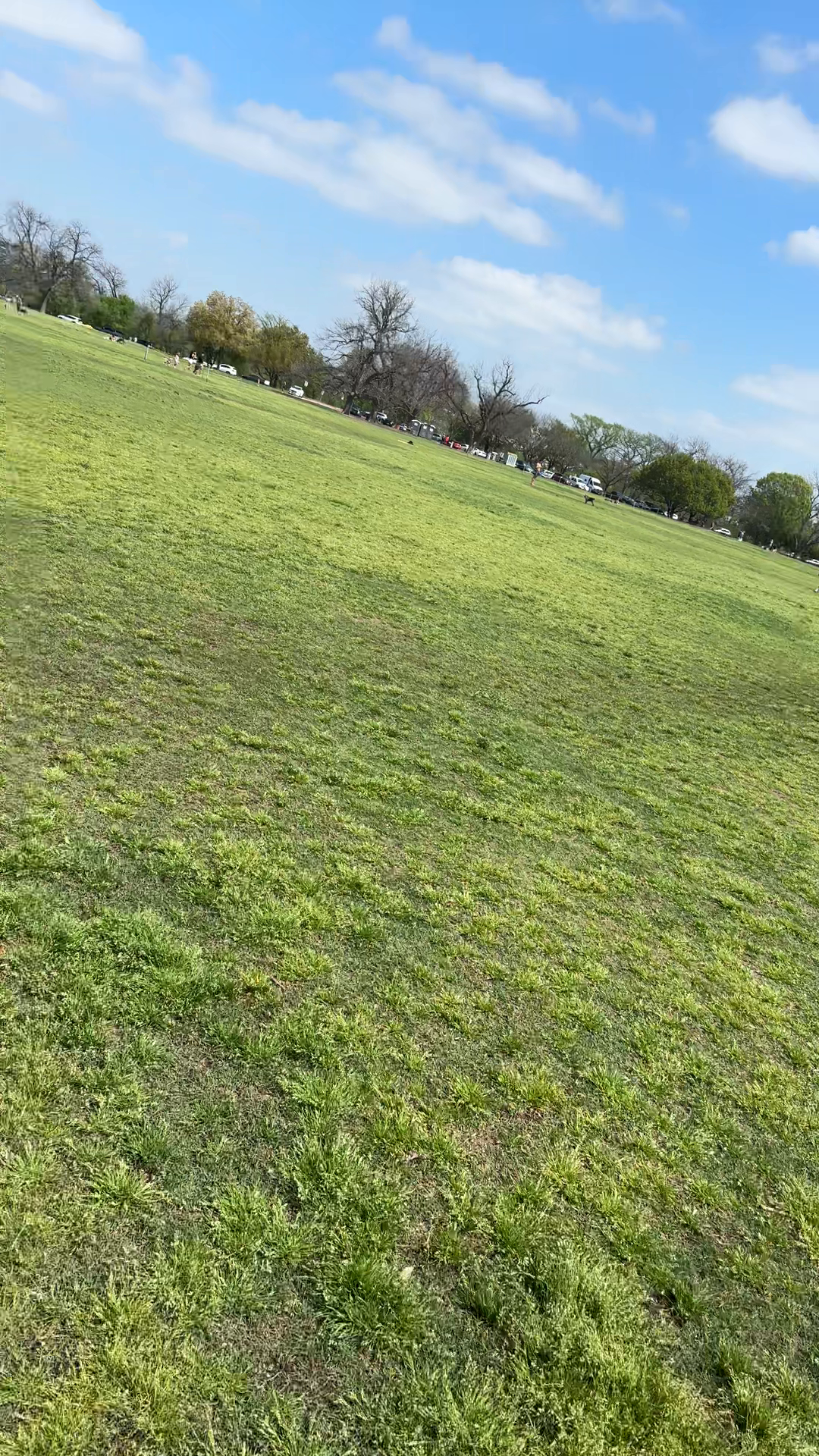 Zilker Park Conditions