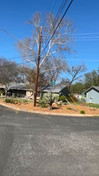 Zilker Living Review