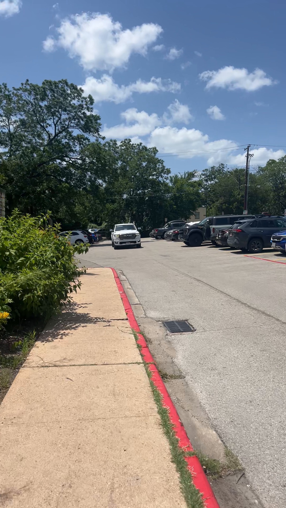 Packed Parking Frenzy