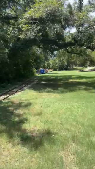 Mini Train Fun