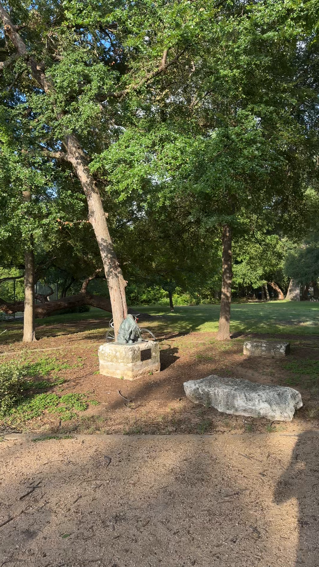 Serene Eastwood Morning