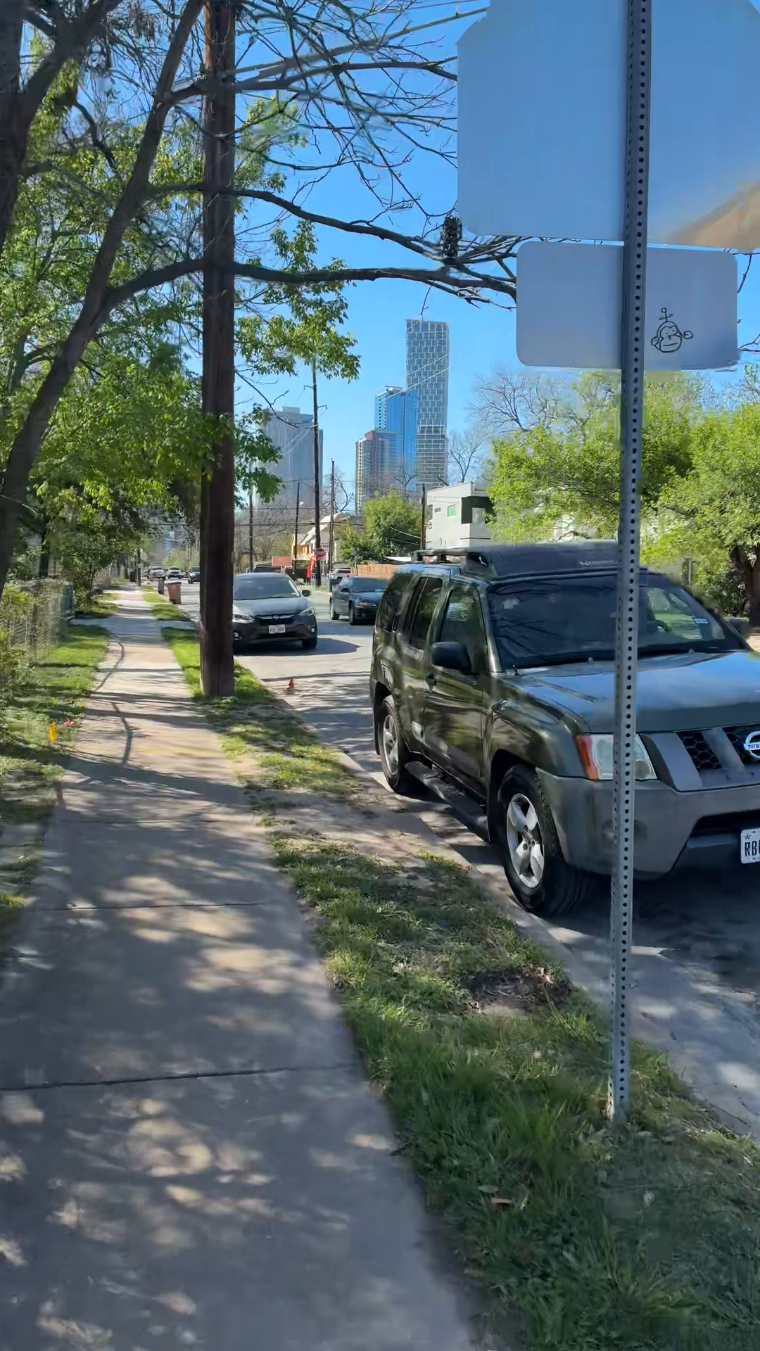 Holly Street Insights