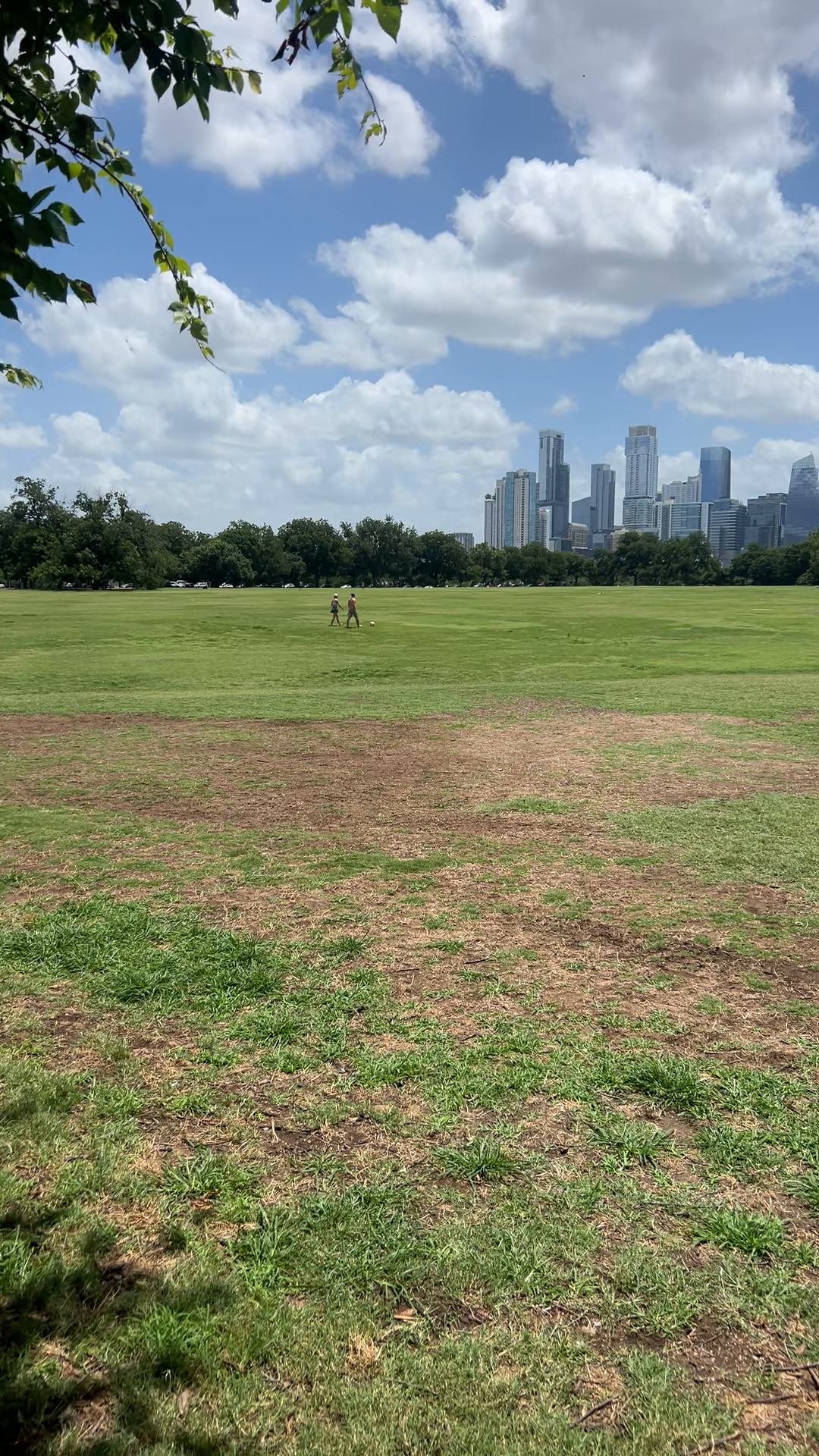 Zilker Park Scene