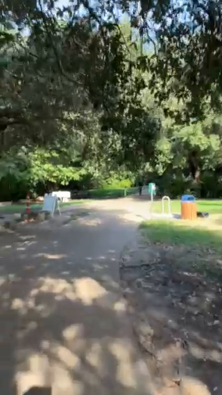 Austin Trail Traffic