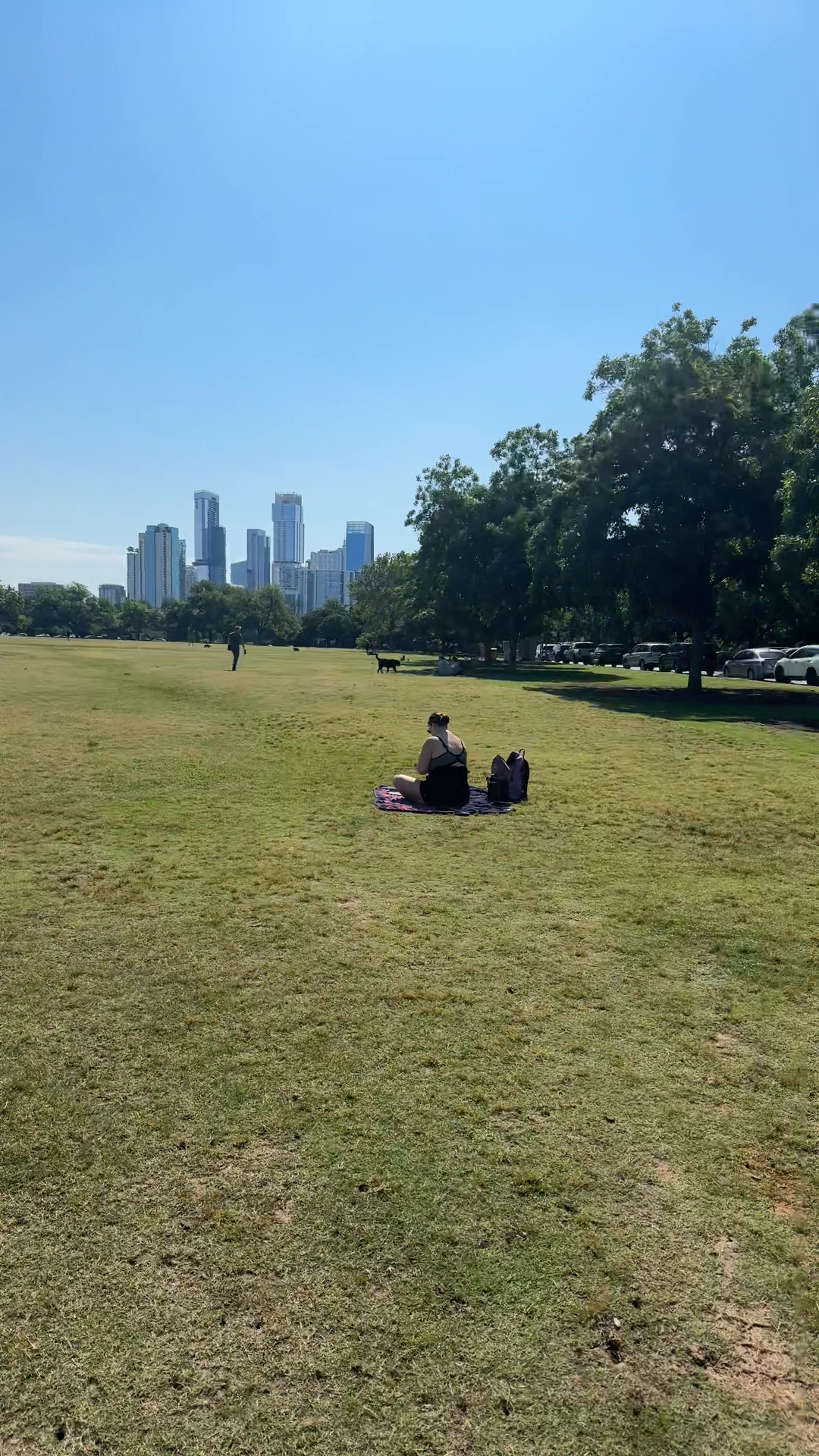 Perfect Picnic Weather