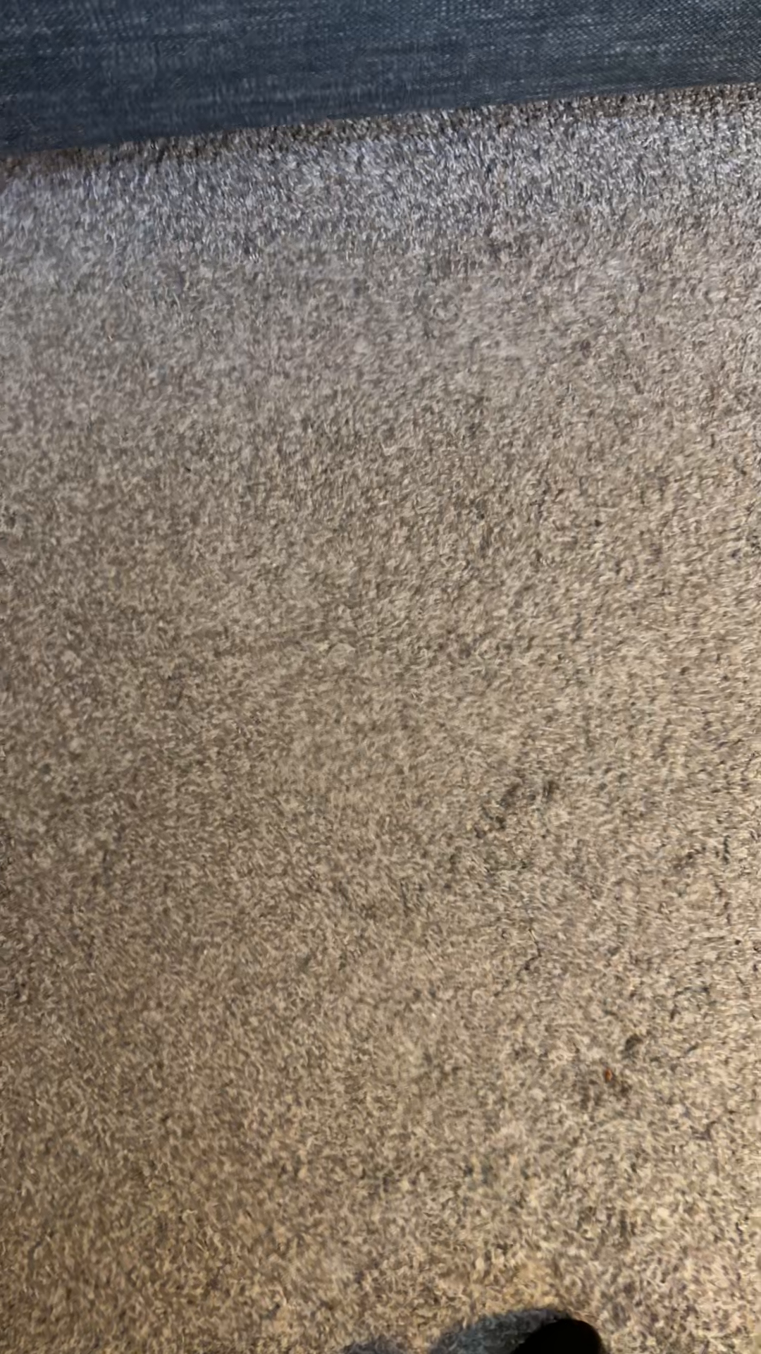 Empty Airport Frames