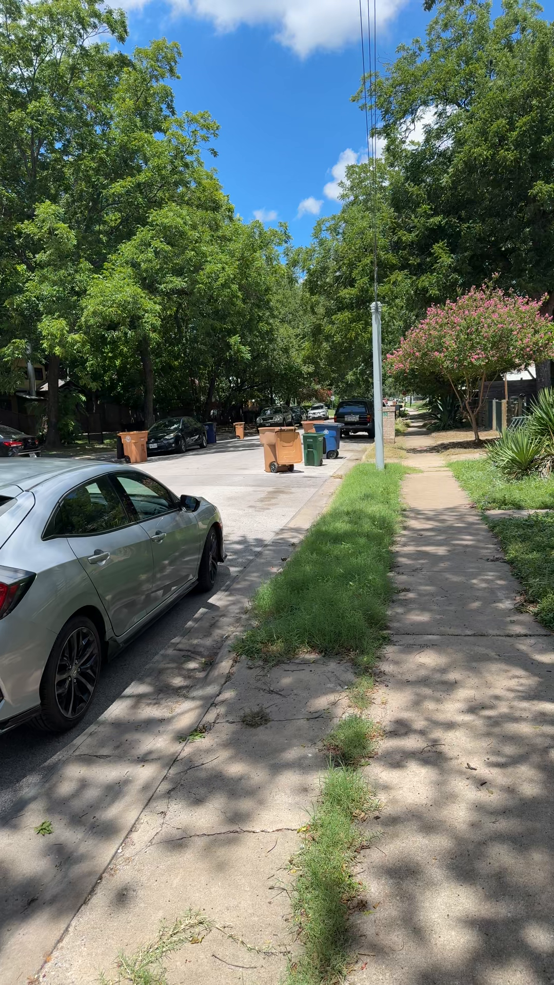 Canterbury Parking Status