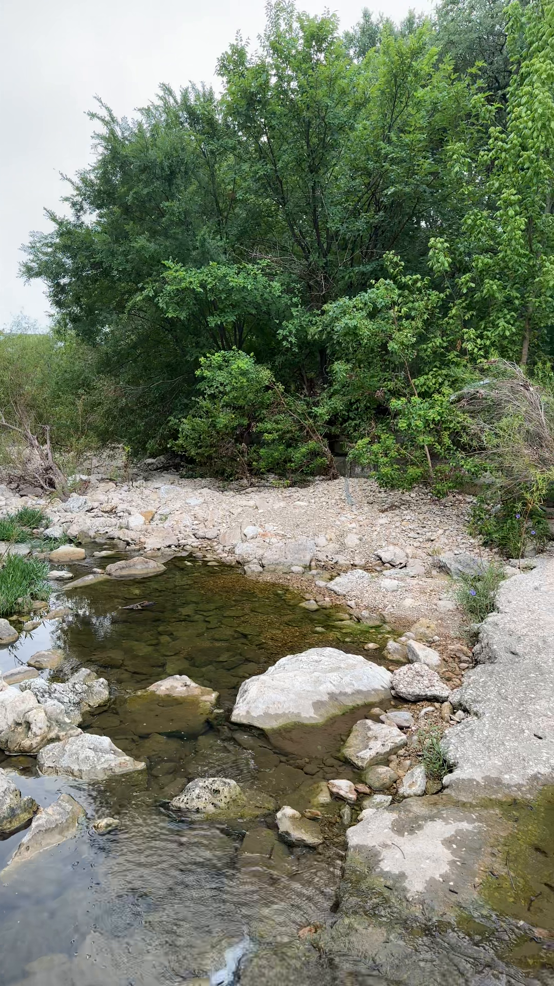 Peaceful Creek Morning