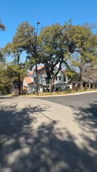 Alta Vista Rental Insight