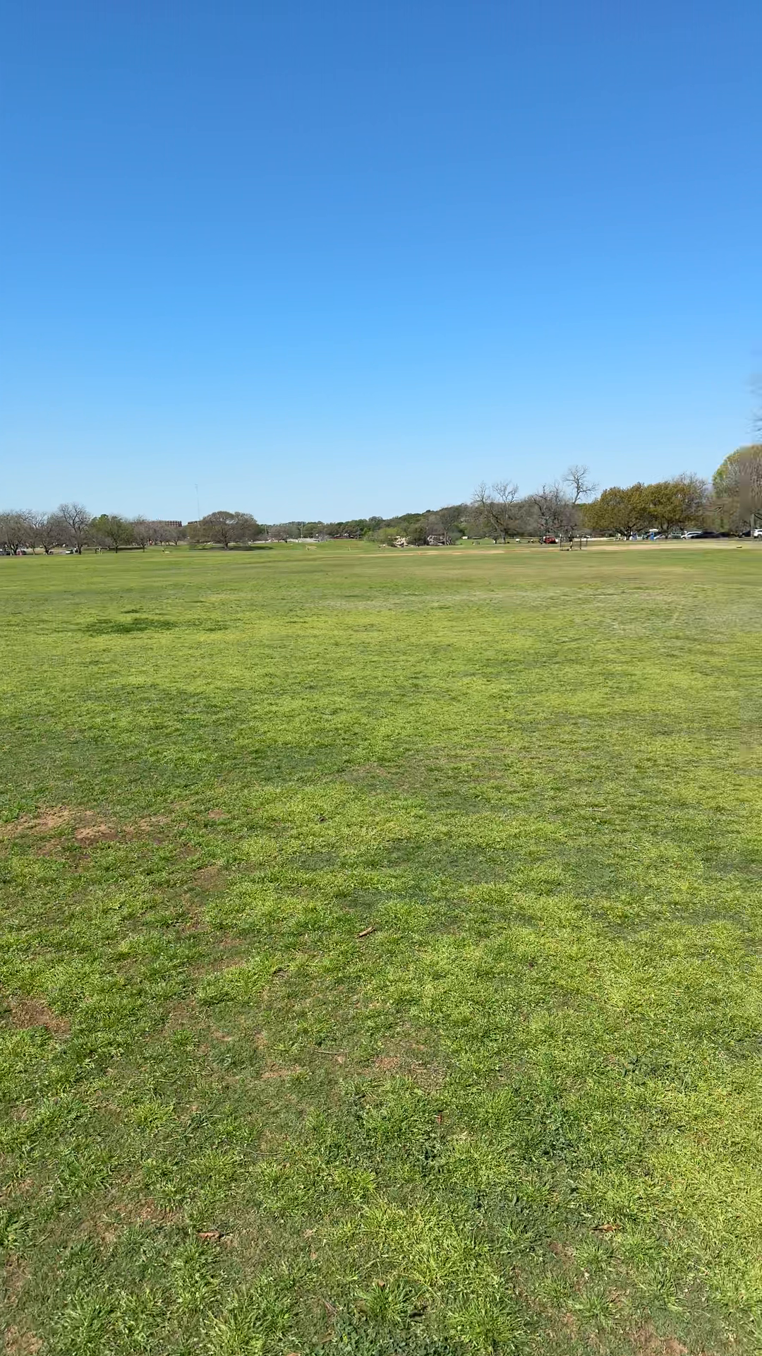 Zilker Park Update