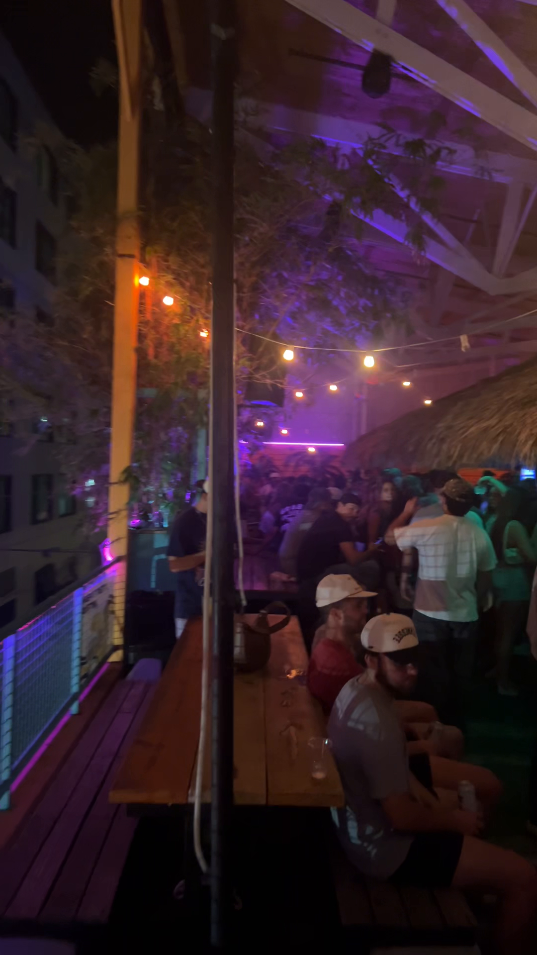 Lively Nightlife at The Cat's