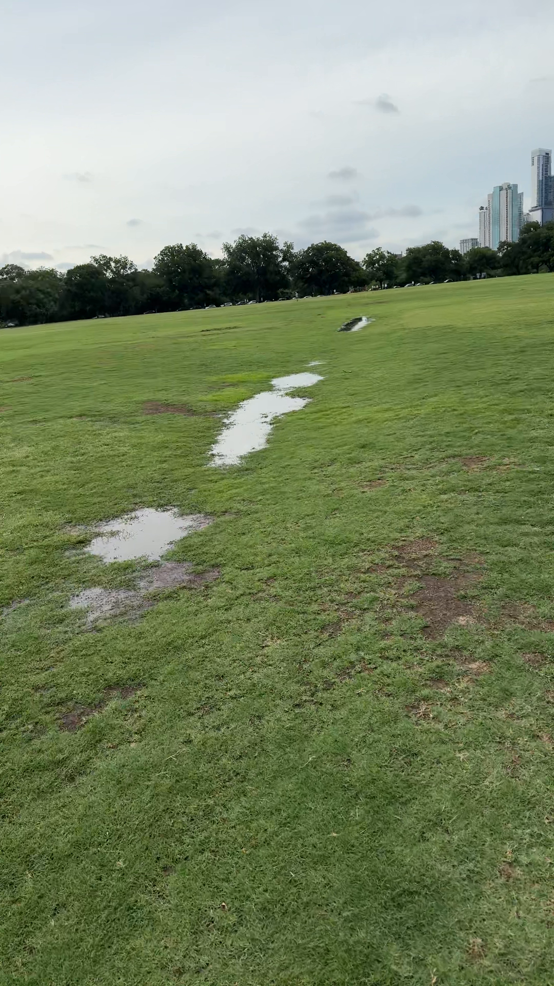 Zilker Park Soaked