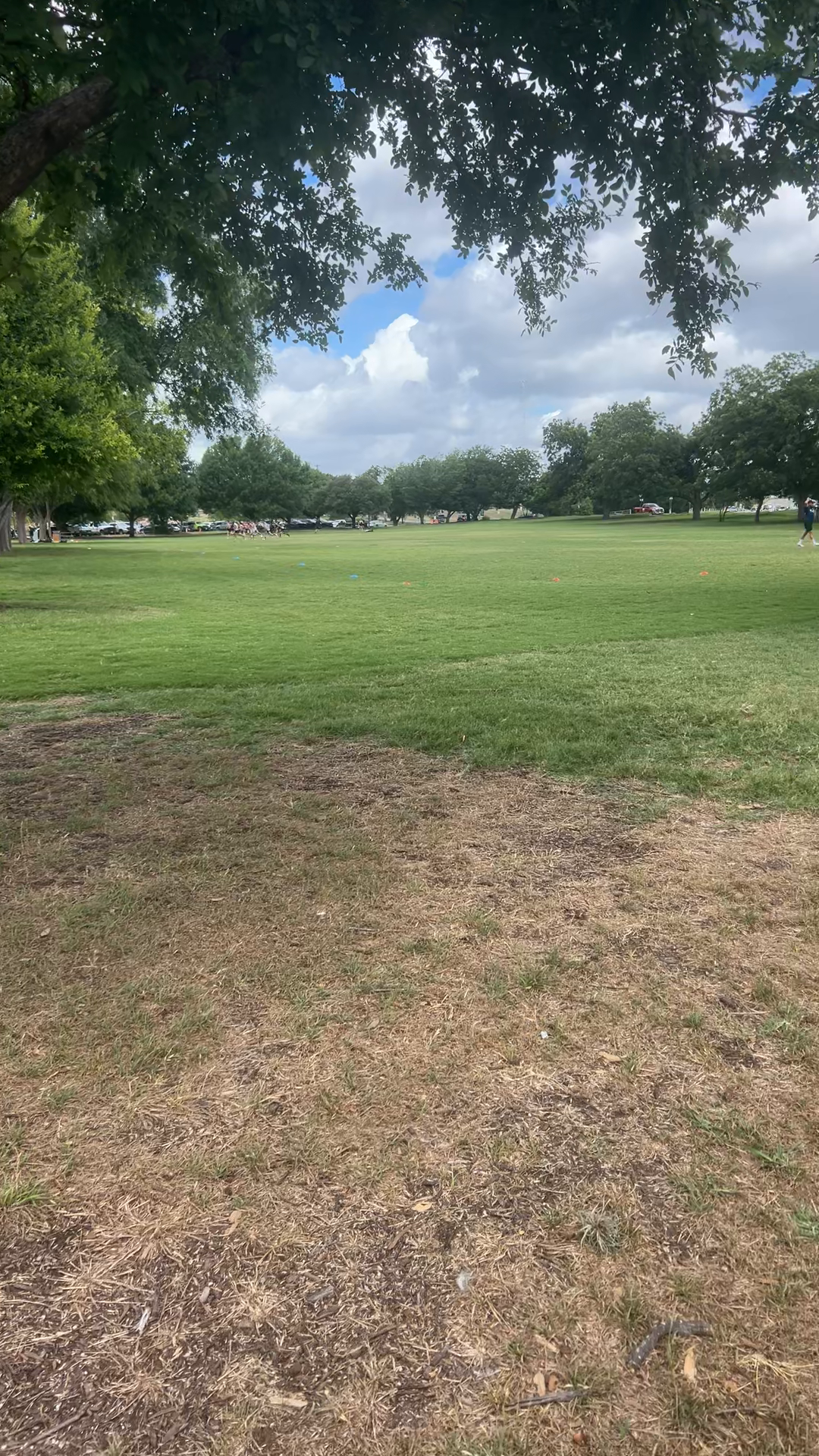 Zilker Vibe Check