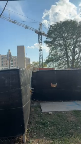 Austin Neighborhood Check