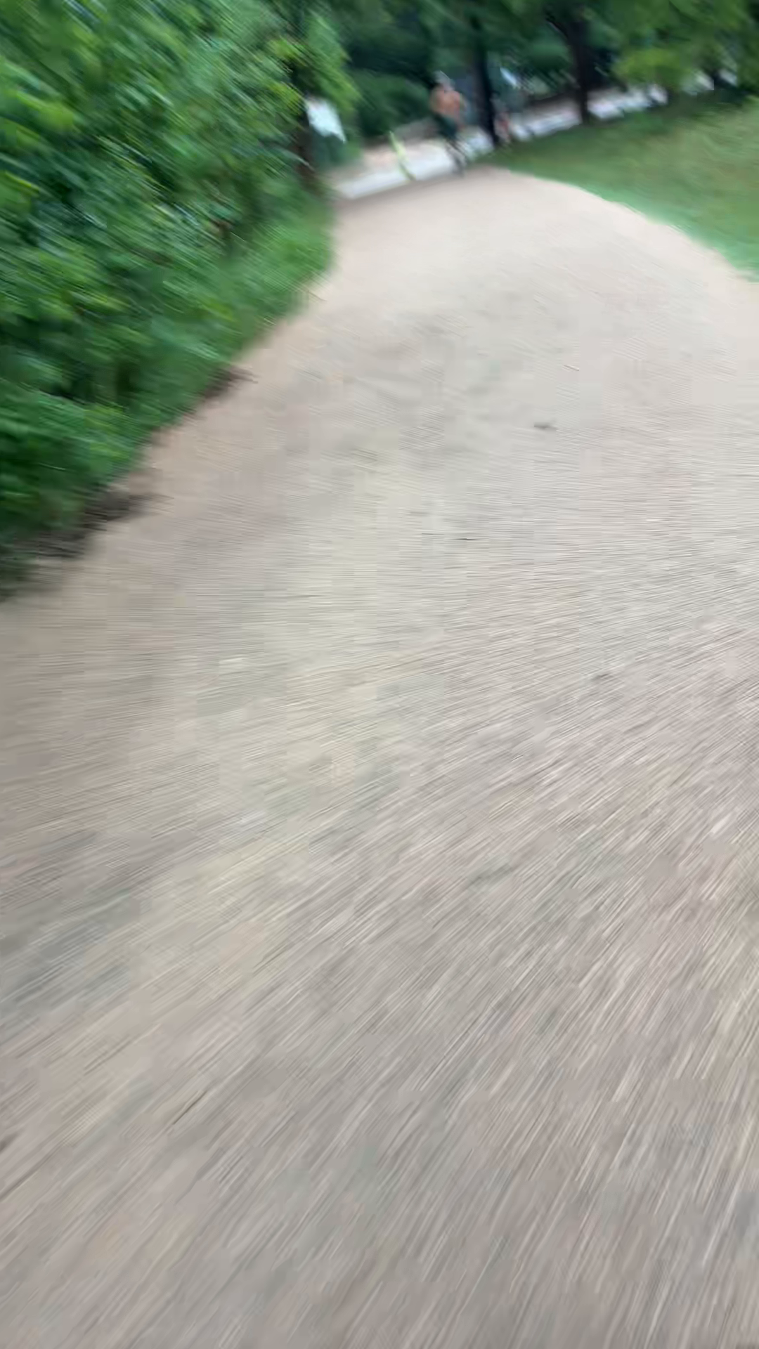 Zilker Storm Aftermath