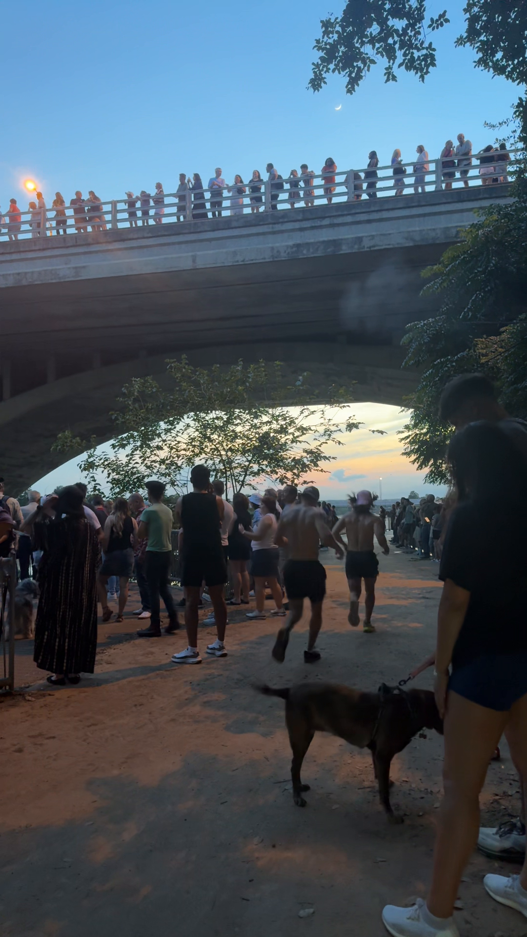 Congress Avenue Bridge — Community video by a Cityvibe spotter
