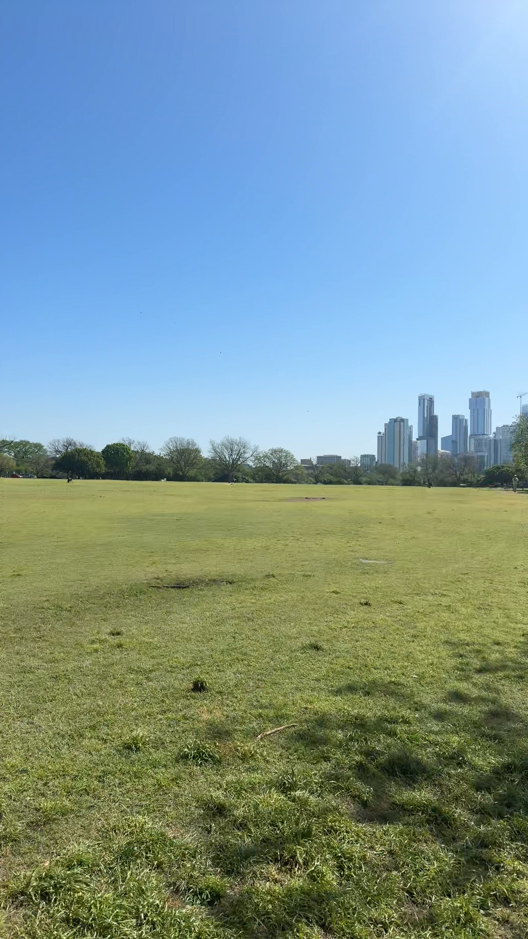 Zilker Park Update