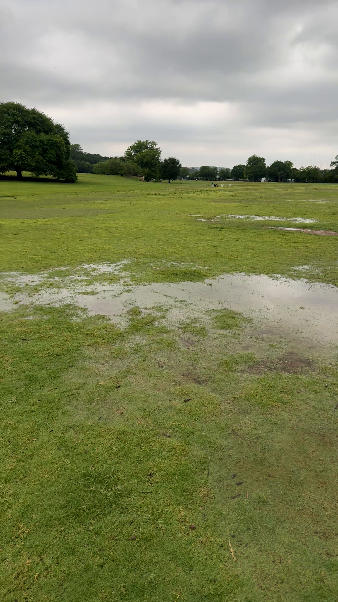 Zilker Park Flooded