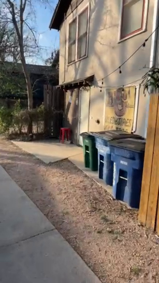 Austin Alley Insight