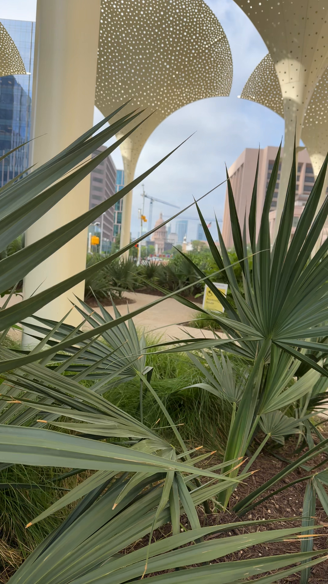 Blanton Museum — Community video by a Cityvibe spotter