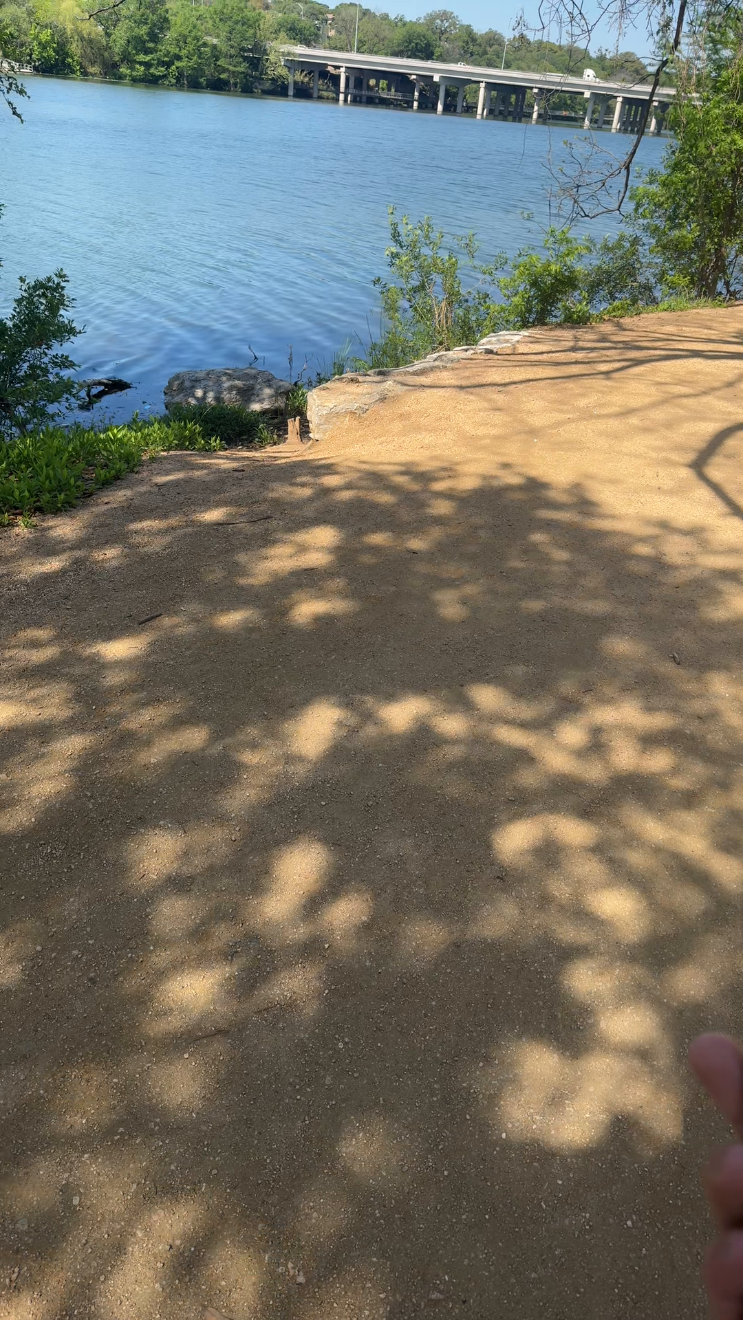 Town Lake Hike and Bike Trail — Community video by a Cityvibe spotter