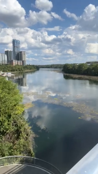Lady Bird Lake Calm