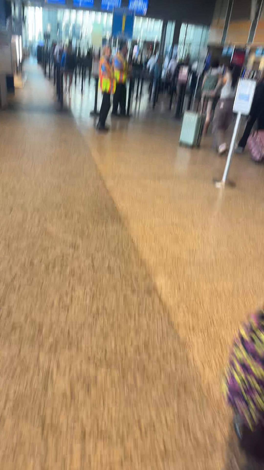 Airport Rush