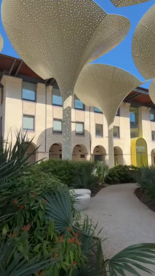 Blanton Museum — Community video by a Cityvibe spotter